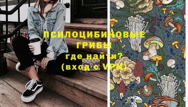 меф Инсар