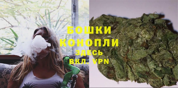 ГАЛЛЮЦИНОГЕННЫЕ ГРИБЫ Чита