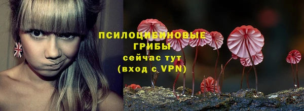 меф Инсар