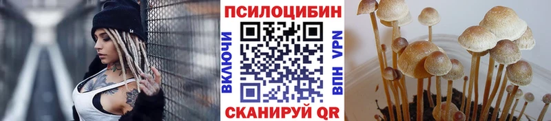 наркошоп  Зеленоградск  Галлюциногенные грибы GOLDEN TEACHER 